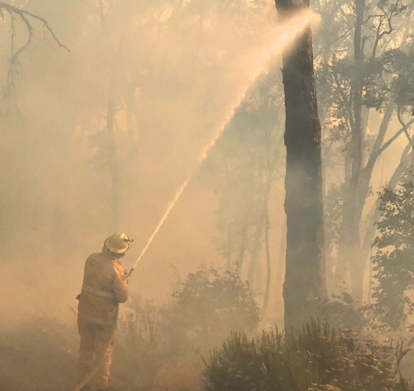 CFA Bushfire Support Story | Frank Montagnese Foundation